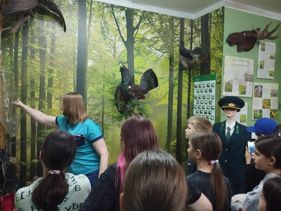 ДВОЛ 