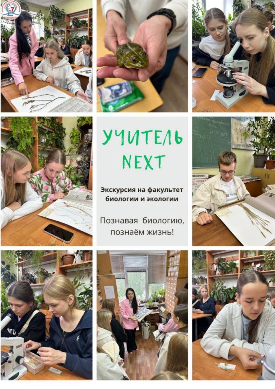 ДВОЛ «Учитель NEXT». День одиннадцатый