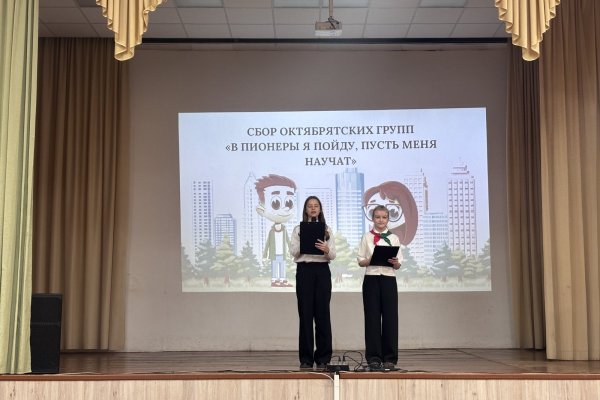 Сбор октябрятских групп «В пионеры я пойду, пусть меня научат»