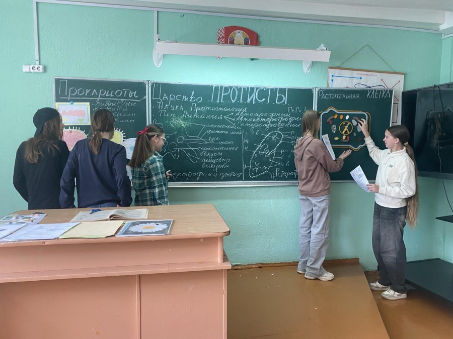 ДВОЛ 