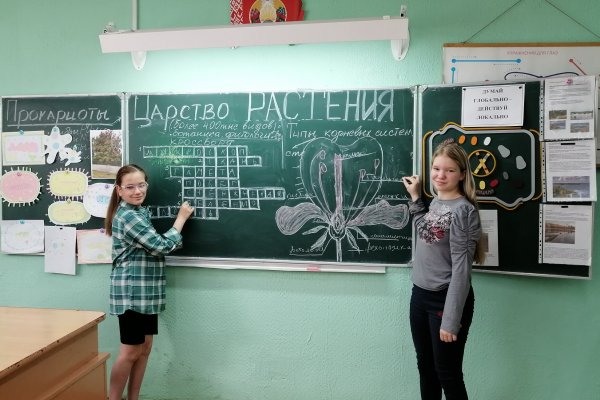 ДВОЛ 