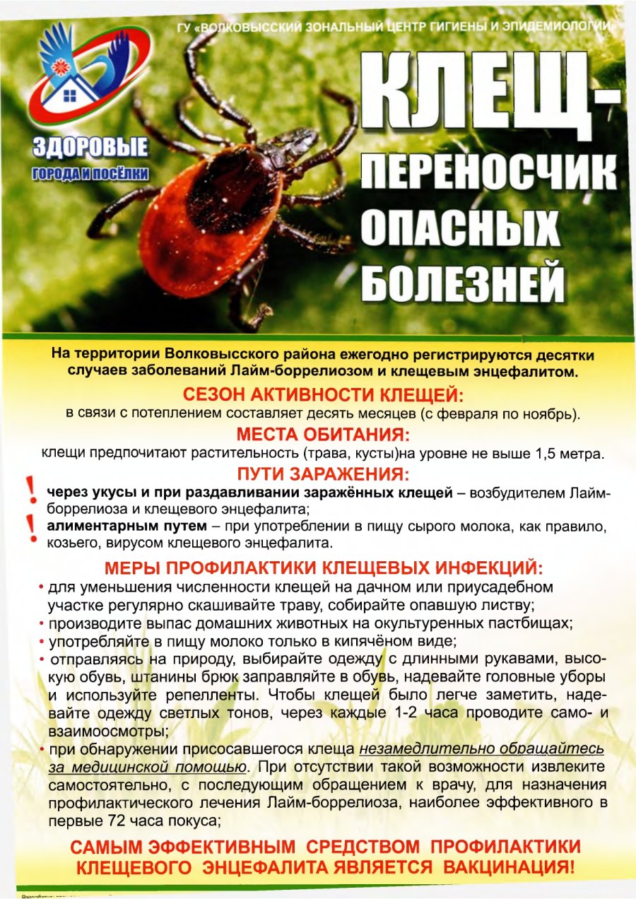 Профилактика клещевых инфекций